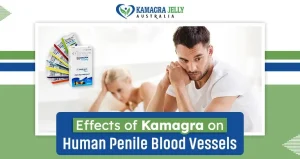 Effects of Kamagra on Human Penile Blood Vessels